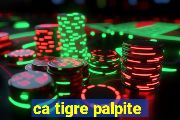 ca tigre palpite